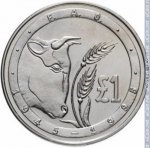 1 фунт 1995 г. Кипр(11) - 127.3 - реверс