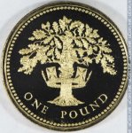 1 фунт 1987 г. Великобритания(5) -1989.8 - реверс