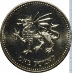 1 фунт 1995 г. Великобритания(5) -1989.8 - реверс