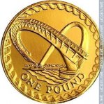1 фунт 2007 г. Великобритания(5) -1989.8 - реверс